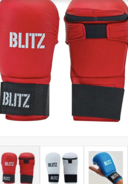 Blitz karate deals mitts